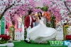 Chụp hình cưới với phim trường cỏ nhân tạo