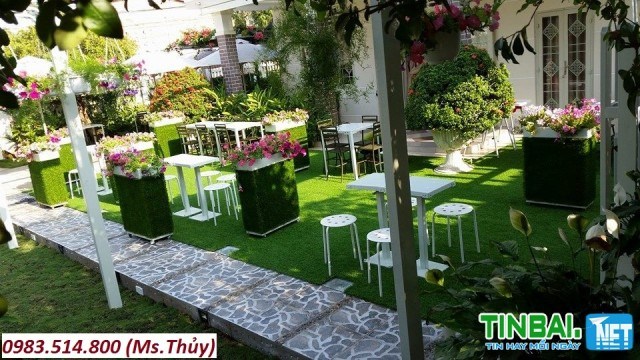 Cải tạo sân vườn đón tết với cỏ nhân tạo